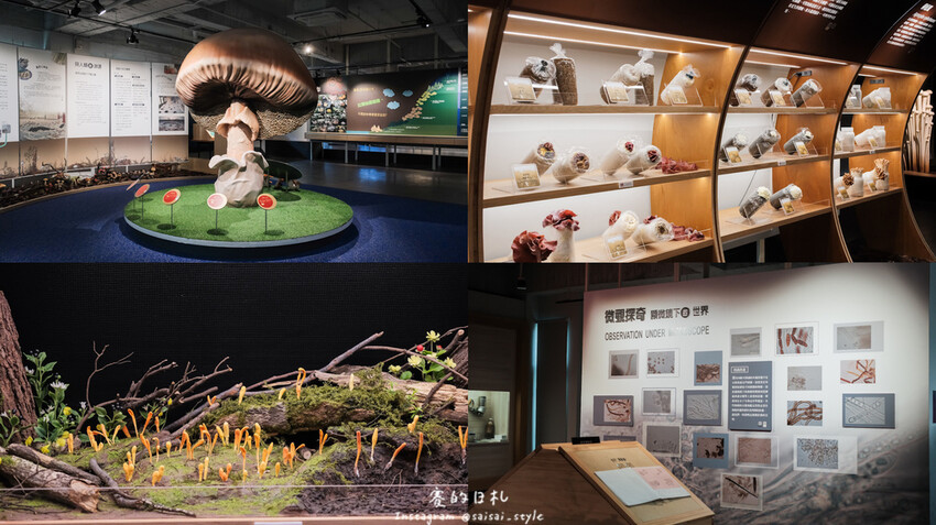 台中市霧峰區霧峰菇類產學館｜台中霧峰一日遊｜霧峰除了林家花園、光復新村外，一定也要來這間「台灣首座菇類博物館」！