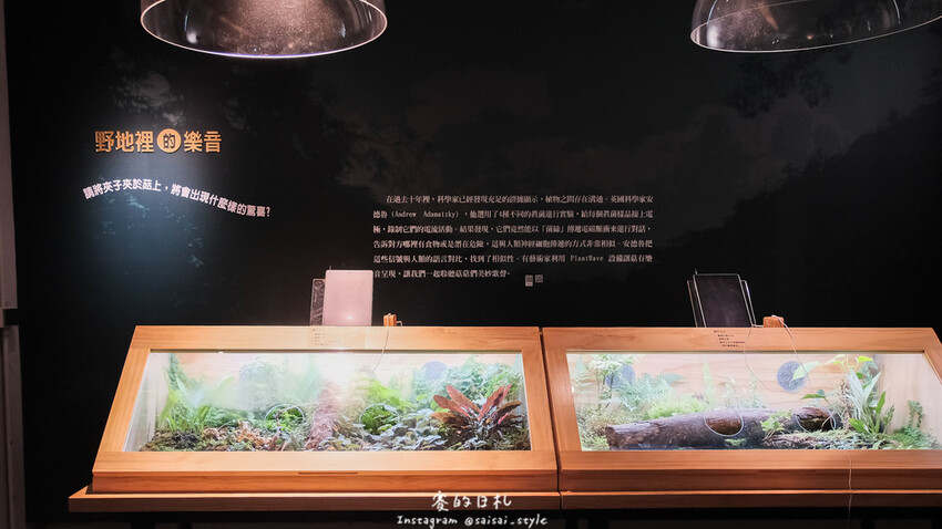 台中市霧峰區霧峰菇類產學館｜台中霧峰一日遊｜霧峰除了林家花園、光復新村外，一定也要來這間「台灣首座菇類博物館」！