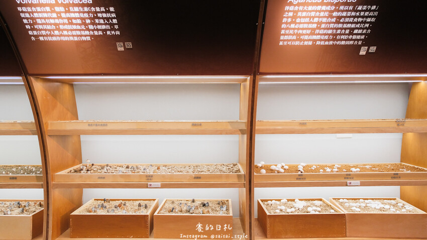 台中市霧峰區霧峰菇類產學館｜台中霧峰一日遊｜霧峰除了林家花園、光復新村外，一定也要來這間「台灣首座菇類博物館」！