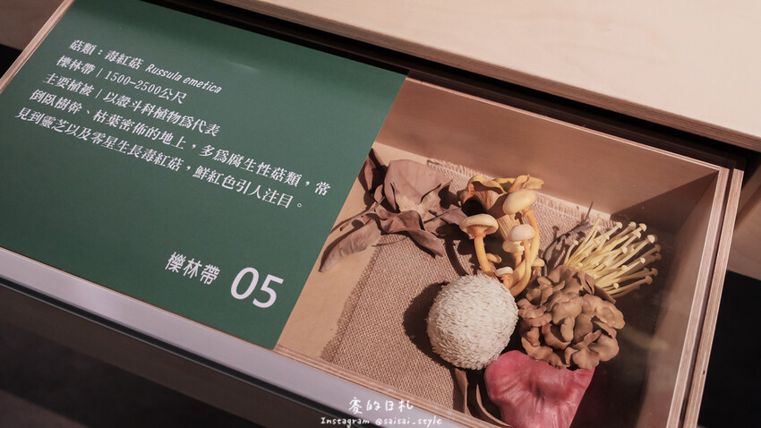 台中市霧峰區霧峰菇類產學館｜台中霧峰一日遊｜霧峰除了林家花園、光復新村外，一定也要來這間「台灣首座菇類博物館」！