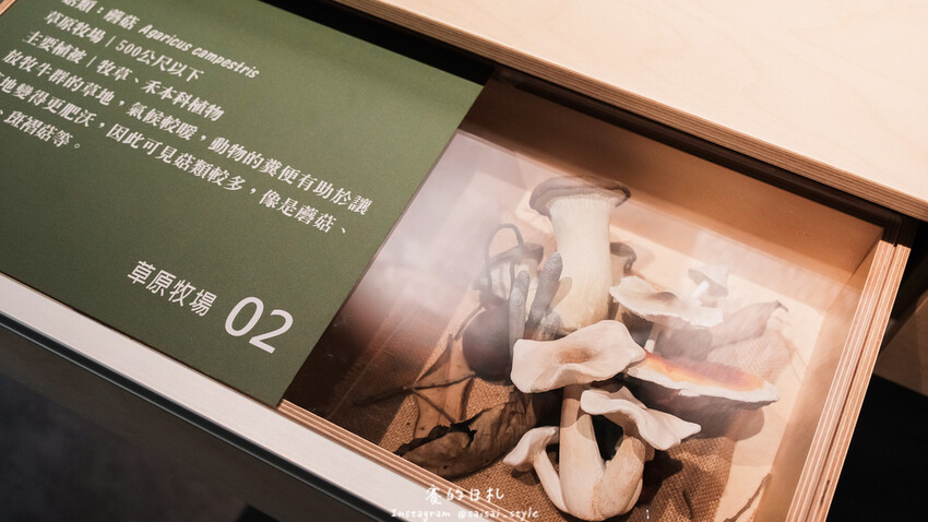 台中市霧峰區霧峰菇類產學館｜台中霧峰一日遊｜霧峰除了林家花園、光復新村外，一定也要來這間「台灣首座菇類博物館」！