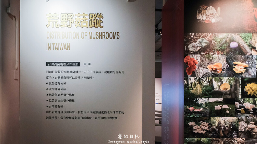 台中市霧峰區霧峰菇類產學館｜台中霧峰一日遊｜霧峰除了林家花園、光復新村外，一定也要來這間「台灣首座菇類博物館」！