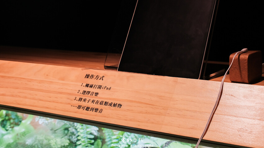 台中市霧峰區霧峰菇類產學館｜台中霧峰一日遊｜霧峰除了林家花園、光復新村外，一定也要來這間「台灣首座菇類博物館」！