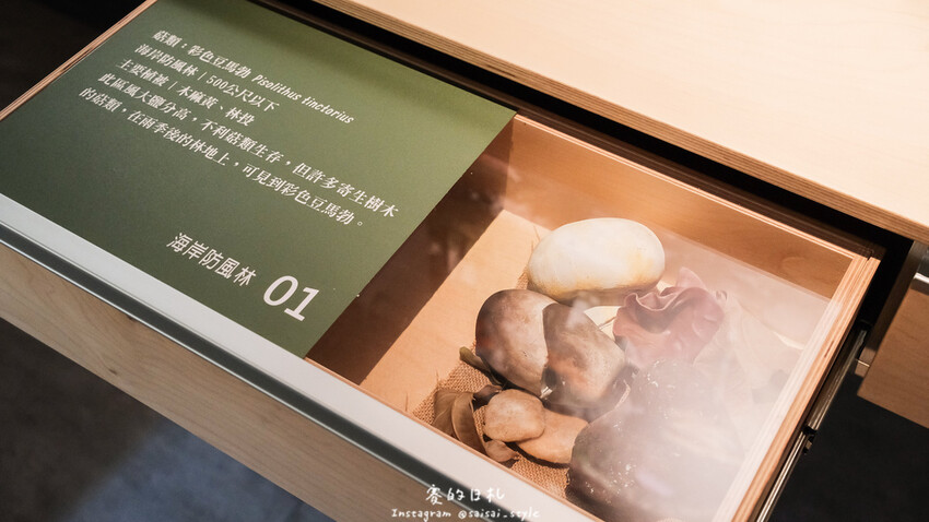 台中市霧峰區霧峰菇類產學館｜台中霧峰一日遊｜霧峰除了林家花園、光復新村外，一定也要來這間「台灣首座菇類博物館」！