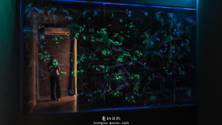 台中市霧峰區霧峰菇類產學館｜台中霧峰一日遊｜霧峰除了林家花園、光復新村外，一定也要來這間「台灣首座菇類博物館」！