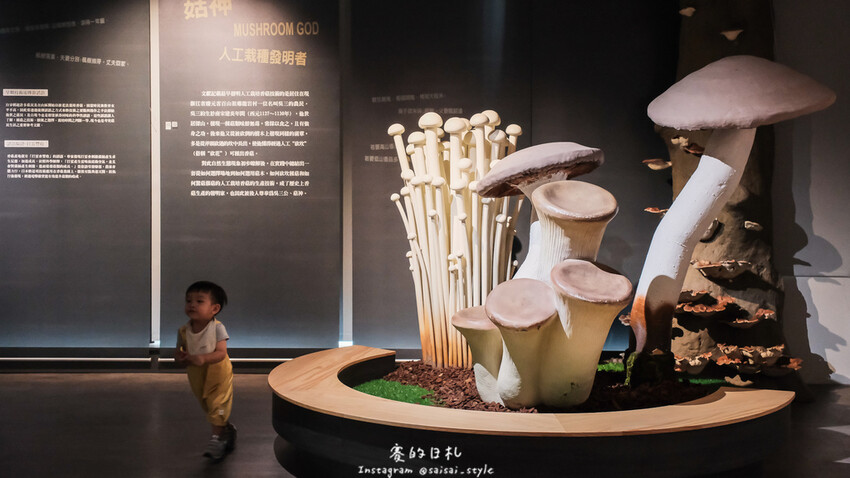 台中市霧峰區霧峰菇類產學館｜台中霧峰一日遊｜霧峰除了林家花園、光復新村外，一定也要來這間「台灣首座菇類博物館」！