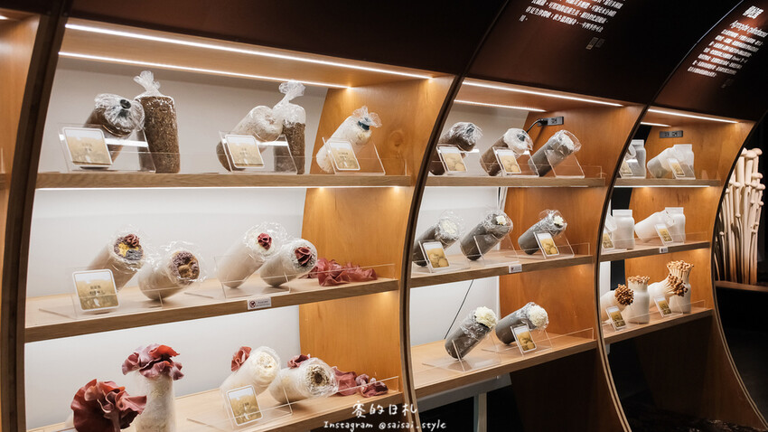 台中市霧峰區霧峰菇類產學館｜台中霧峰一日遊｜霧峰除了林家花園、光復新村外，一定也要來這間「台灣首座菇類博物館」！