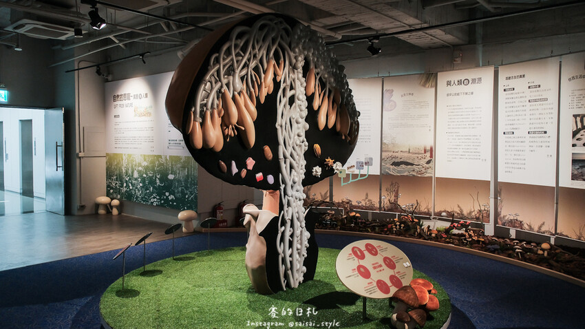 台中市霧峰區霧峰菇類產學館｜台中霧峰一日遊｜霧峰除了林家花園、光復新村外，一定也要來這間「台灣首座菇類博物館」！