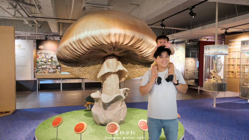 台中市霧峰區霧峰菇類產學館｜台中霧峰一日遊｜霧峰除了林家花園、光復新村外，一定也要來這間「台灣首座菇類博物館」！