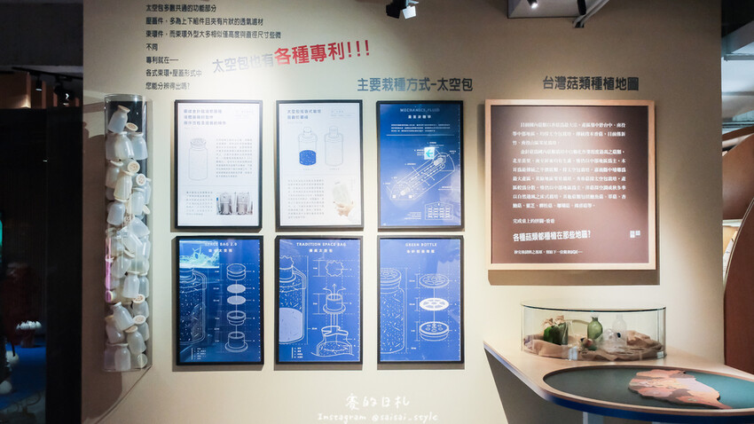 台中市霧峰區霧峰菇類產學館｜台中霧峰一日遊｜霧峰除了林家花園、光復新村外，一定也要來這間「台灣首座菇類博物館」！