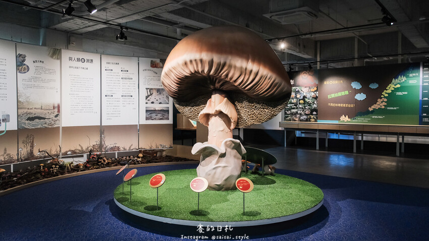 台中市霧峰區霧峰菇類產學館｜台中霧峰一日遊｜霧峰除了林家花園、光復新村外，一定也要來這間「台灣首座菇類博物館」！