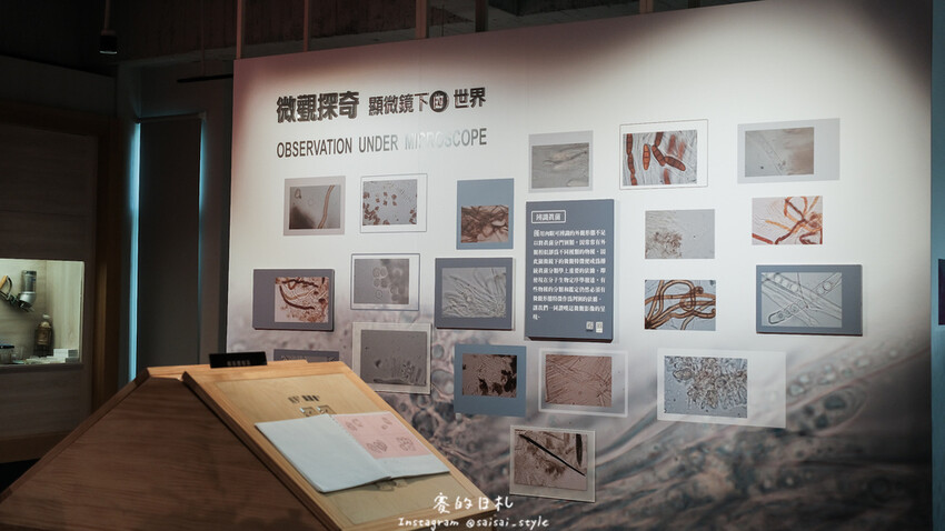 台中市霧峰區霧峰菇類產學館｜台中霧峰一日遊｜霧峰除了林家花園、光復新村外，一定也要來這間「台灣首座菇類博物館」！