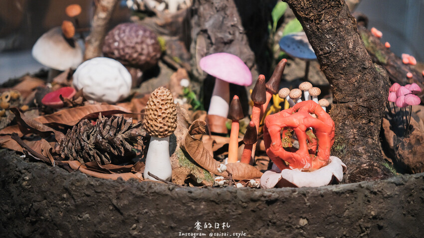 台中市霧峰區霧峰菇類產學館｜台中霧峰一日遊｜霧峰除了林家花園、光復新村外，一定也要來這間「台灣首座菇類博物館」！