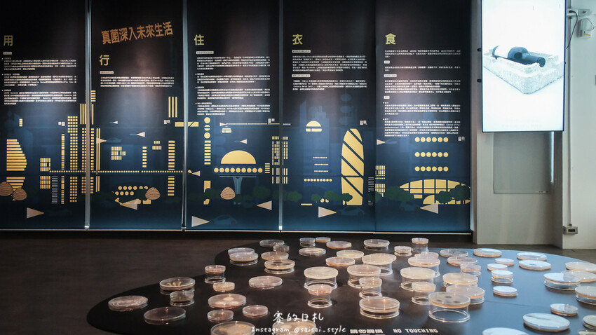 台中市霧峰區霧峰菇類產學館｜台中霧峰一日遊｜霧峰除了林家花園、光復新村外，一定也要來這間「台灣首座菇類博物館」！