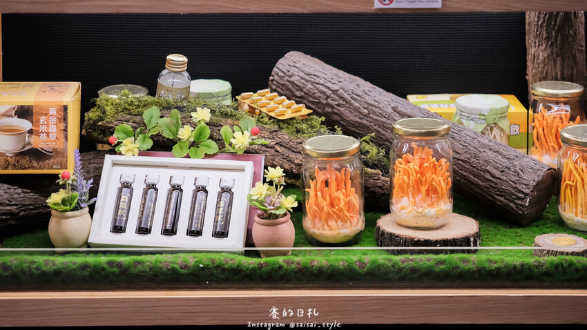 台中市霧峰區霧峰菇類產學館｜台中霧峰一日遊｜霧峰除了林家花園、光復新村外，一定也要來這間「台灣首座菇類博物館」！