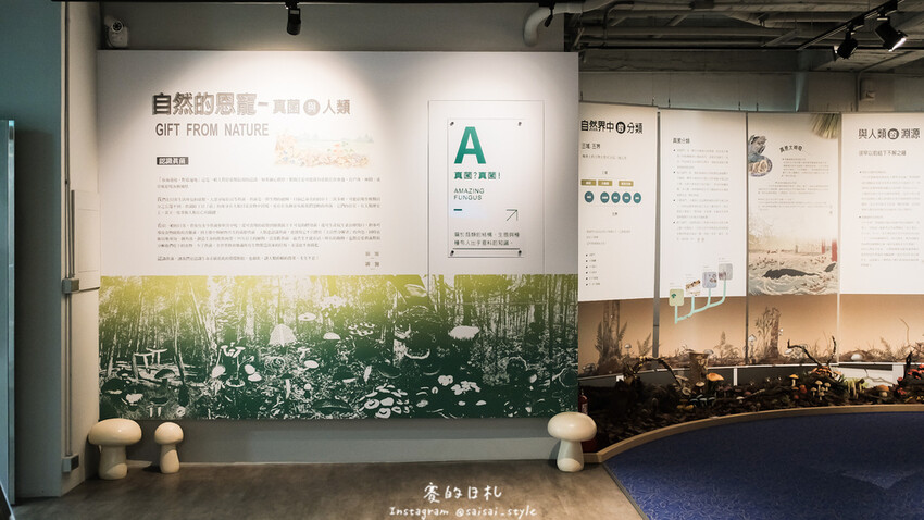 台中市霧峰區霧峰菇類產學館｜台中霧峰一日遊｜霧峰除了林家花園、光復新村外，一定也要來這間「台灣首座菇類博物館」！