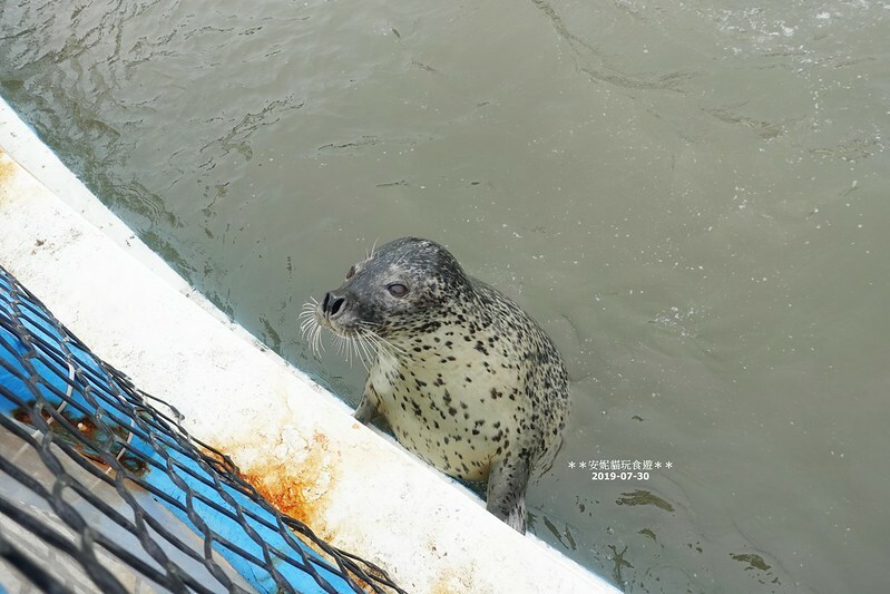 日本【2019北海道。露營車夏令營】日本最北的水族館 & 科學館.稚內 ノシャップ寒流水族館 (野寒布寒流水族館)