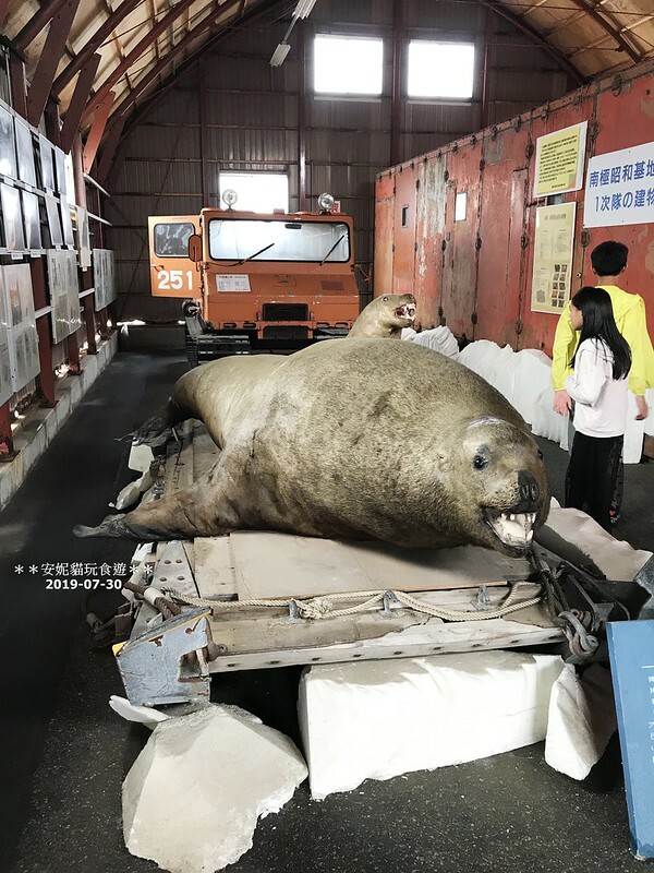 日本【2019北海道。露營車夏令營】日本最北的水族館 & 科學館.稚內 ノシャップ寒流水族館 (野寒布寒流水族館)