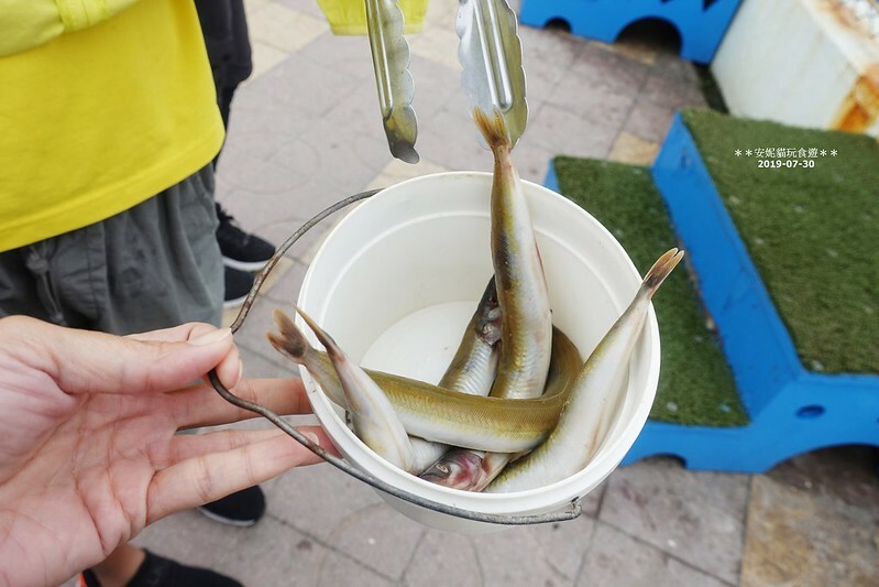 日本【2019北海道。露營車夏令營】日本最北的水族館 & 科學館.稚內 ノシャップ寒流水族館 (野寒布寒流水族館)