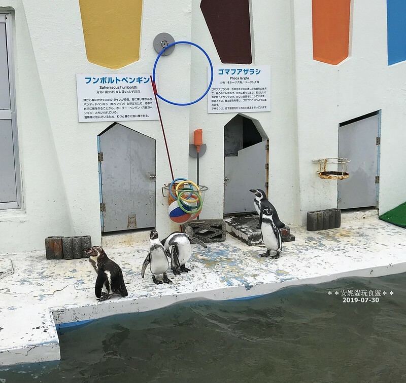 日本【2019北海道。露營車夏令營】日本最北的水族館 & 科學館.稚內 ノシャップ寒流水族館 (野寒布寒流水族館)