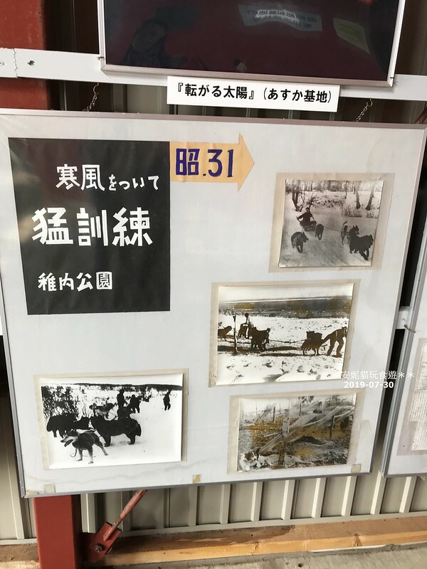 日本【2019北海道。露營車夏令營】日本最北的水族館 & 科學館.稚內 ノシャップ寒流水族館 (野寒布寒流水族館)