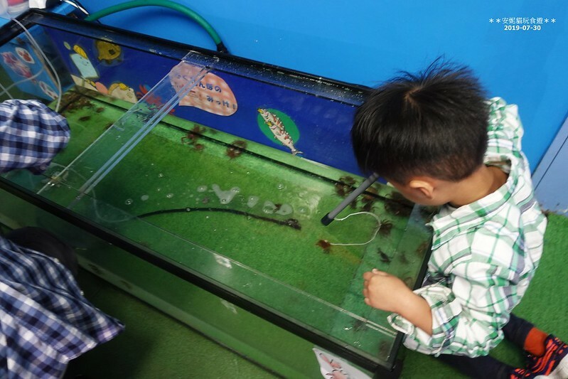 日本【2019北海道。露營車夏令營】日本最北的水族館 & 科學館.稚內 ノシャップ寒流水族館 (野寒布寒流水族館)