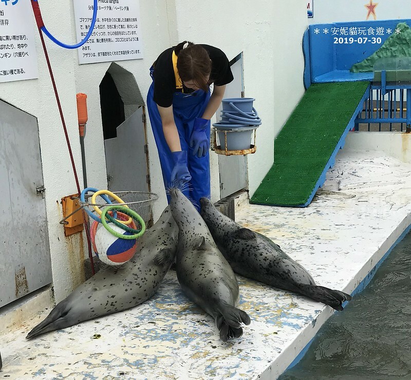 日本【2019北海道。露營車夏令營】日本最北的水族館 & 科學館.稚內 ノシャップ寒流水族館 (野寒布寒流水族館)