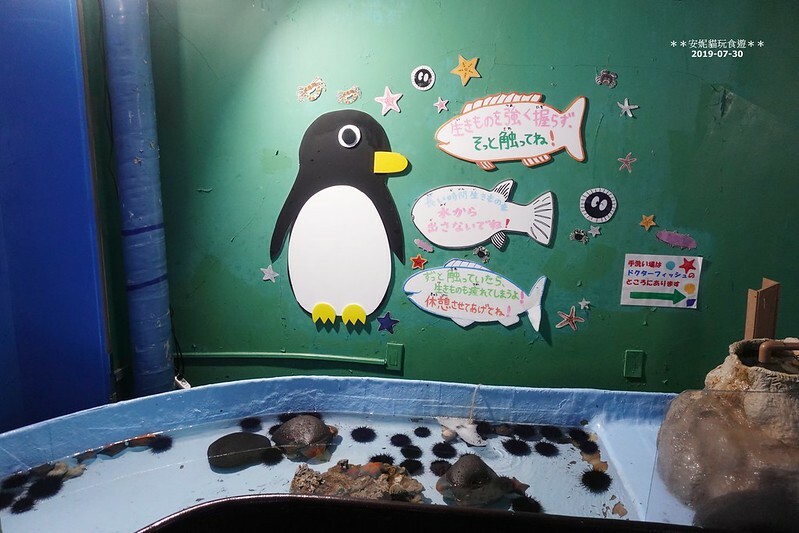 日本【2019北海道。露營車夏令營】日本最北的水族館 & 科學館.稚內 ノシャップ寒流水族館 (野寒布寒流水族館)