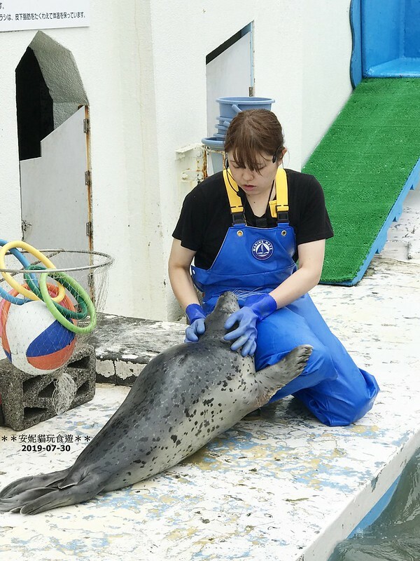 日本【2019北海道。露營車夏令營】日本最北的水族館 & 科學館.稚內 ノシャップ寒流水族館 (野寒布寒流水族館)