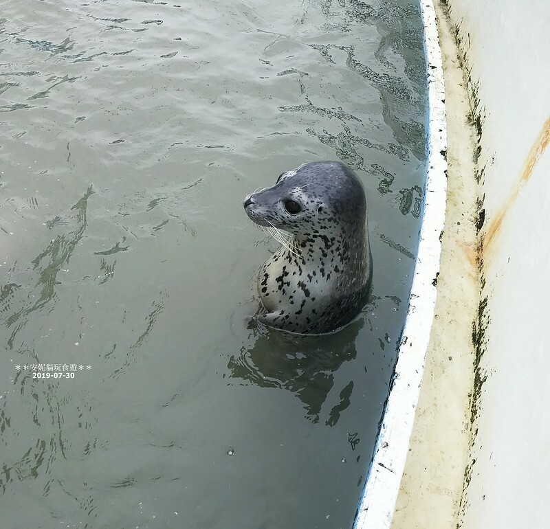 日本【2019北海道。露營車夏令營】日本最北的水族館 & 科學館.稚內 ノシャップ寒流水族館 (野寒布寒流水族館)