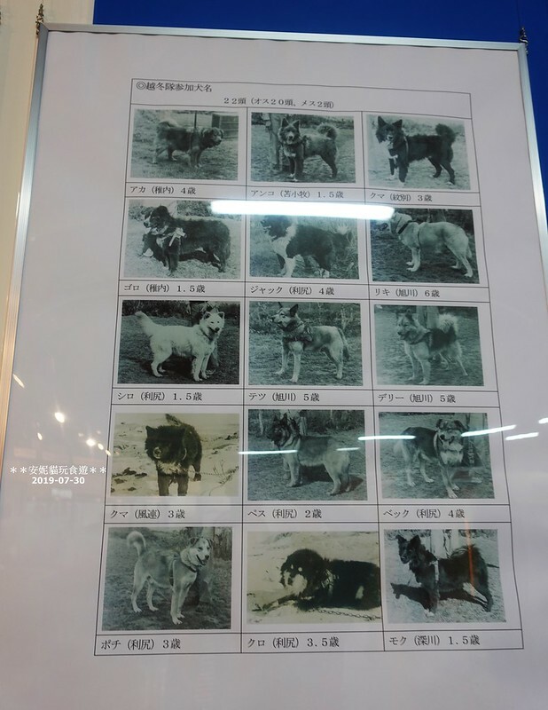 日本【2019北海道。露營車夏令營】日本最北的水族館 & 科學館.稚內 ノシャップ寒流水族館 (野寒布寒流水族館)