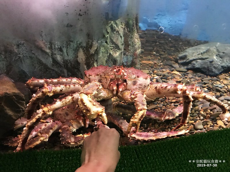 日本【2019北海道。露營車夏令營】日本最北的水族館 & 科學館.稚內 ノシャップ寒流水族館 (野寒布寒流水族館)