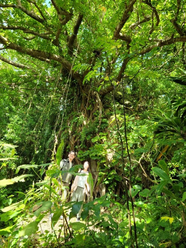【沖繩美食】山の茶屋・楽水|沖繩南部最棒的海景餐廳