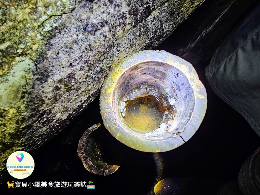 南投縣鹿谷鄉[旅宿]南投 溪頭福華渡假飯店 溪頭自然教育園區 全新漢光樓登場 雲霧繚繞夢幻仙境 享受芬多精洗禮 房客獨享