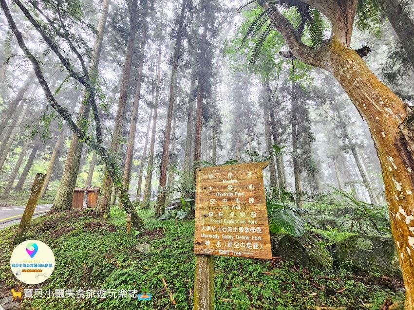南投縣鹿谷鄉[旅宿]南投 溪頭福華渡假飯店 溪頭自然教育園區 全新漢光樓登場 雲霧繚繞夢幻仙境 享受芬多精洗禮 房客獨享