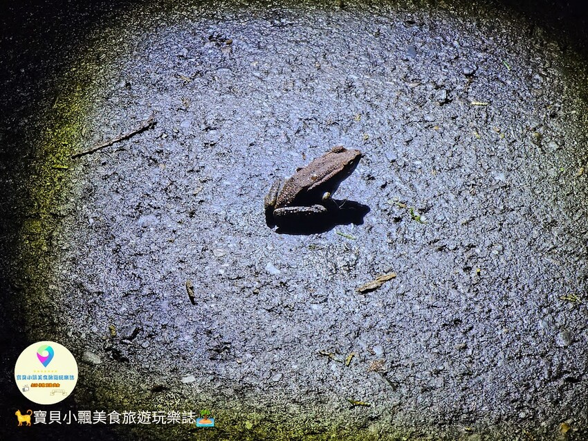 南投縣鹿谷鄉[旅宿]南投 溪頭福華渡假飯店 溪頭自然教育園區 全新漢光樓登場 雲霧繚繞夢幻仙境 享受芬多精洗禮 房客獨享