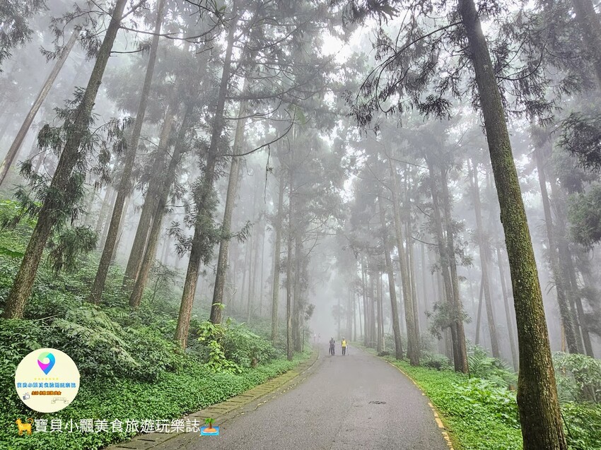 南投縣鹿谷鄉[旅宿]南投 溪頭福華渡假飯店 溪頭自然教育園區 全新漢光樓登場 雲霧繚繞夢幻仙境 享受芬多精洗禮 房客獨享