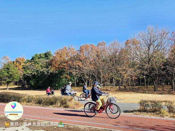 日本[旅遊]日本 九州 福岡 熊本 精選九組一日遊 旅遊行程懶人包