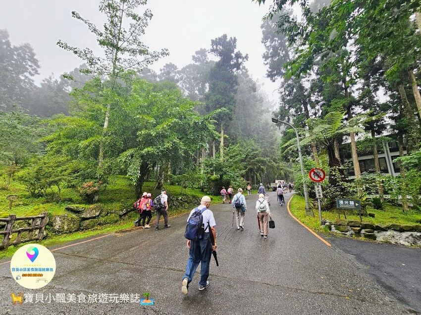 南投縣鹿谷鄉[旅宿]南投 溪頭福華渡假飯店 溪頭自然教育園區 全新漢光樓登場 雲霧繚繞夢幻仙境 享受芬多精洗禮 房客獨享