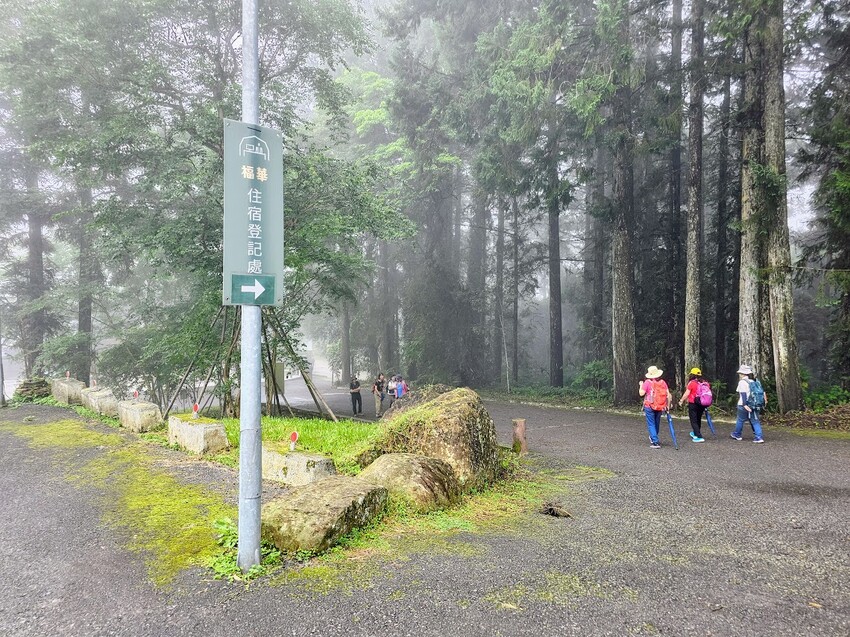南投縣鹿谷鄉[旅宿]南投 溪頭福華渡假飯店 溪頭自然教育園區 全新漢光樓登場 雲霧繚繞夢幻仙境 享受芬多精洗禮 房客獨享