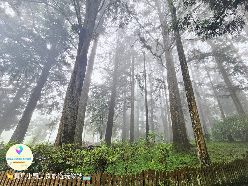 南投縣鹿谷鄉[旅宿]南投 溪頭福華渡假飯店 溪頭自然教育園區 全新漢光樓登場 雲霧繚繞夢幻仙境 享受芬多精洗禮 房客獨享