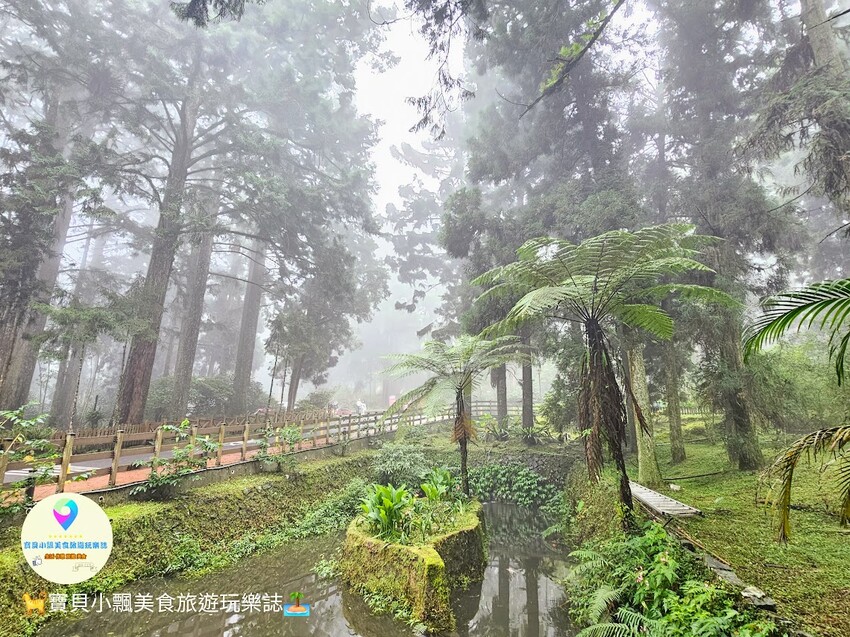 南投縣鹿谷鄉[旅宿]南投 溪頭福華渡假飯店 溪頭自然教育園區 全新漢光樓登場 雲霧繚繞夢幻仙境 享受芬多精洗禮 房客獨享