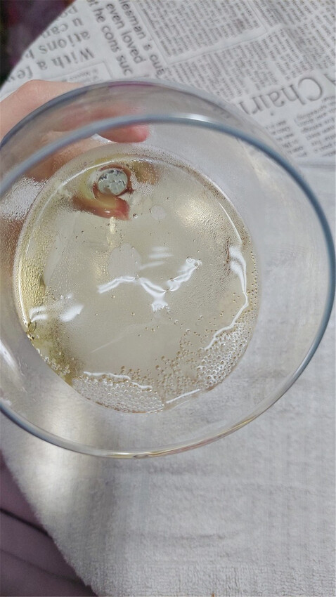 美食|德國外交部及美國白宮御用 芳時品味CARL JUNG卡