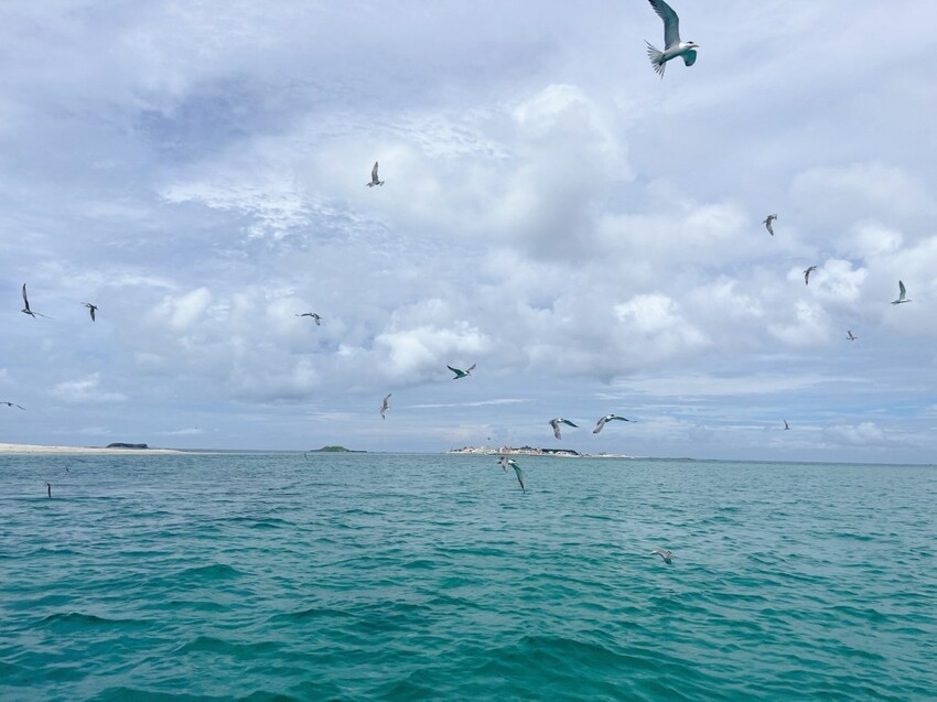 澎湖縣白沙鄉澎湖三天兩夜這樣玩！澎湖在地美食、景點懶人包，鮮蚵吃到飽500元有找！