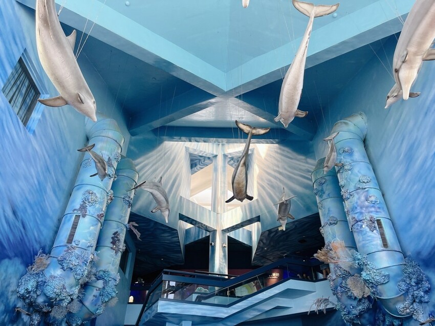 澎湖縣白沙鄉澎湖三天兩夜這樣玩！澎湖在地美食、景點懶人包，鮮蚵吃到飽500元有找！