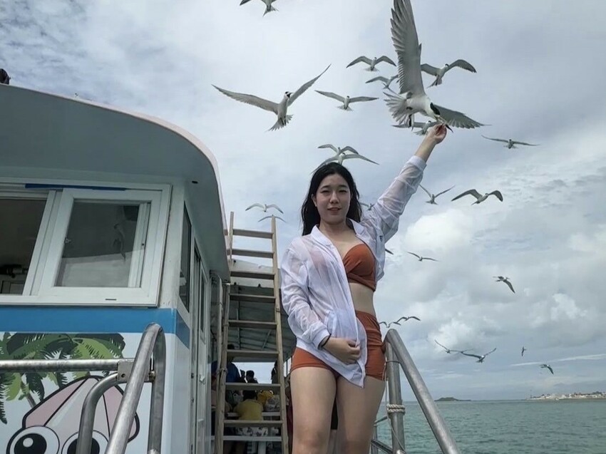 澎湖縣白沙鄉澎湖三天兩夜這樣玩！澎湖在地美食、景點懶人包，鮮蚵吃到飽500元有找！
