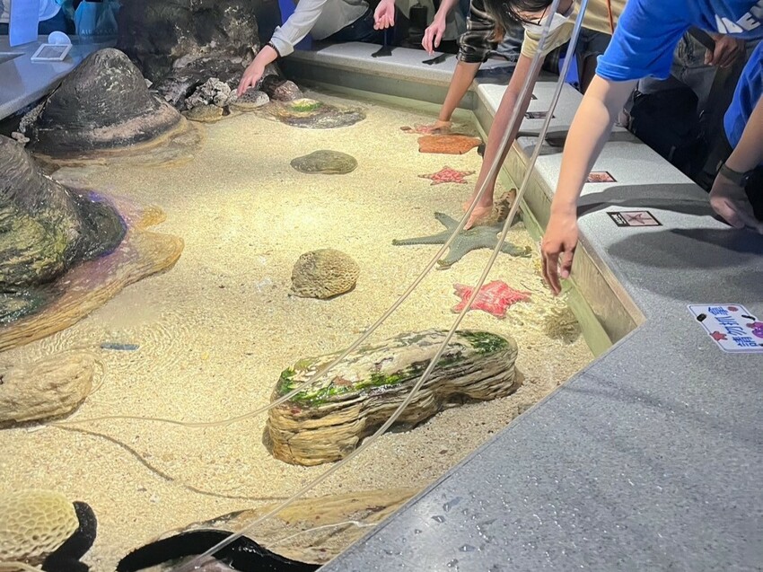 澎湖縣白沙鄉澎湖三天兩夜這樣玩！澎湖在地美食、景點懶人包，鮮蚵吃到飽500元有找！