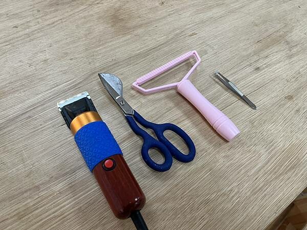 043_Does Art 都是藝術x安妮王的旅行記