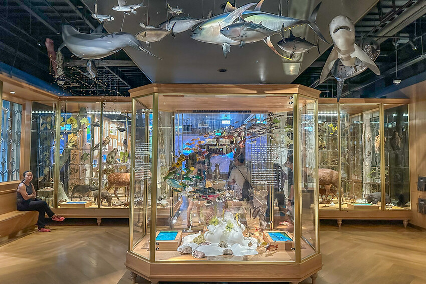 20240808_113604+0800-uid-EAD4C7CC-2610-427E-A13B-9C0667EA7746-3011040