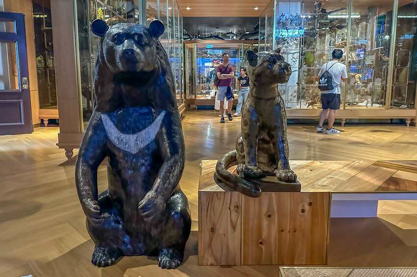 20240808_113821+0800-uid-236AB614-C582-4DFE-8B4B-150713C5DB9D-2261386